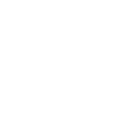 Gear Icon